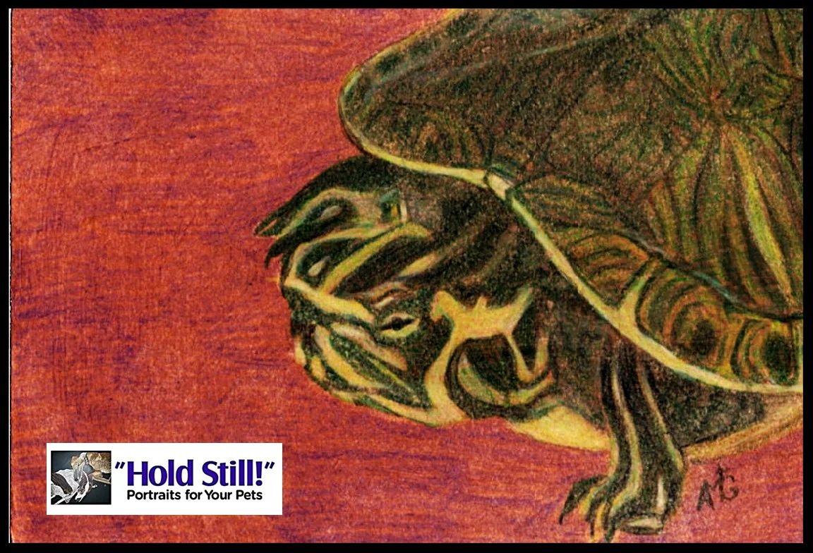 slider soul window web version.jpg