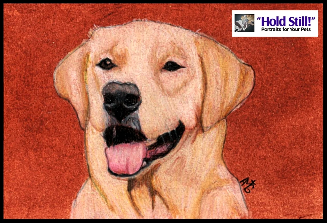 Yellow Lab Soul Window web version.jpg