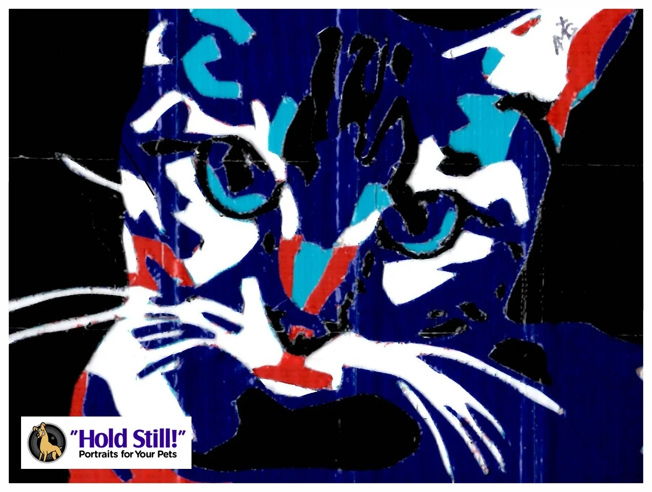 5x7 Cateyes Ductanimal Web Image.jpg