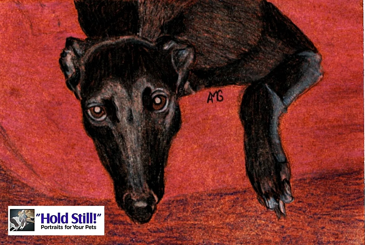 Greyhound Black Soul Window web version.jpg