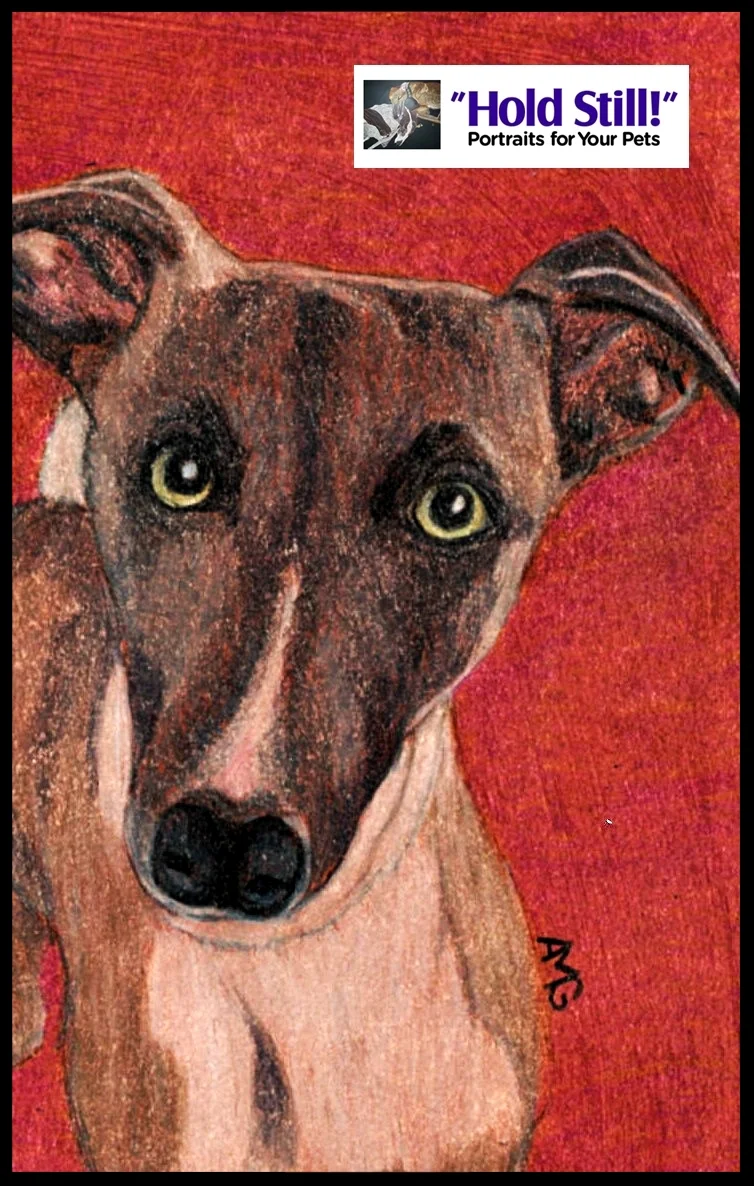 Whippet Eyes Soul Window web version.jpg