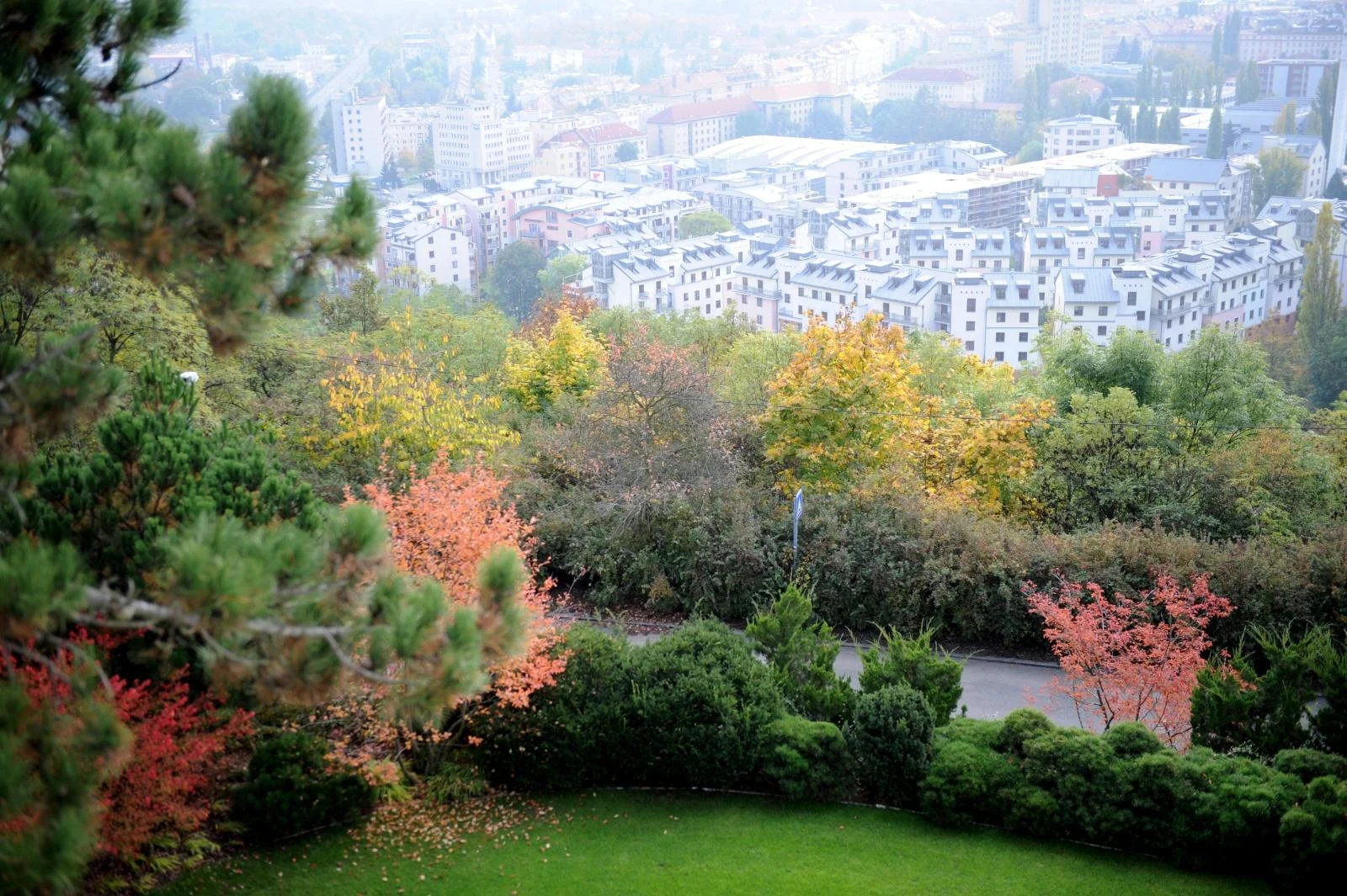DSC_2086.JPG