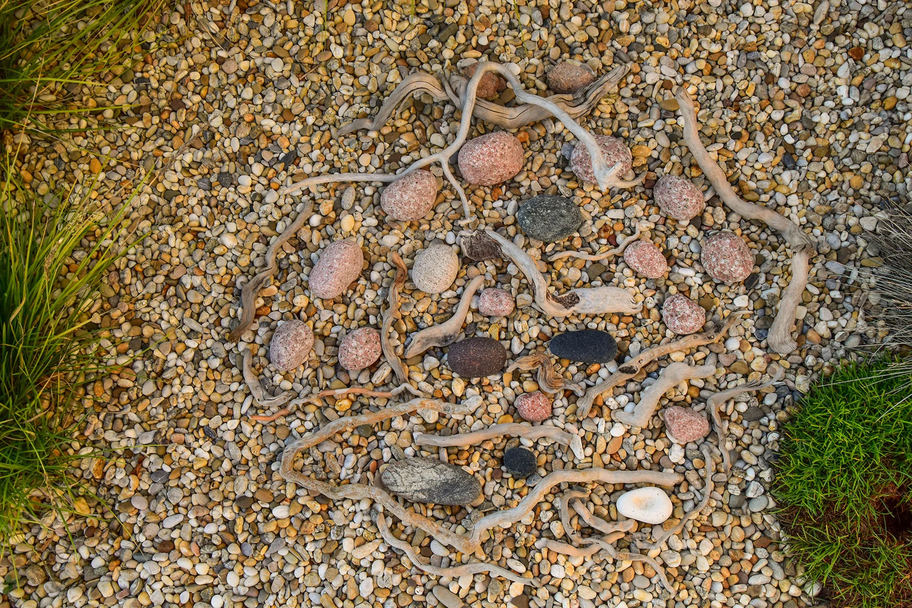 DSC_0899.jpg