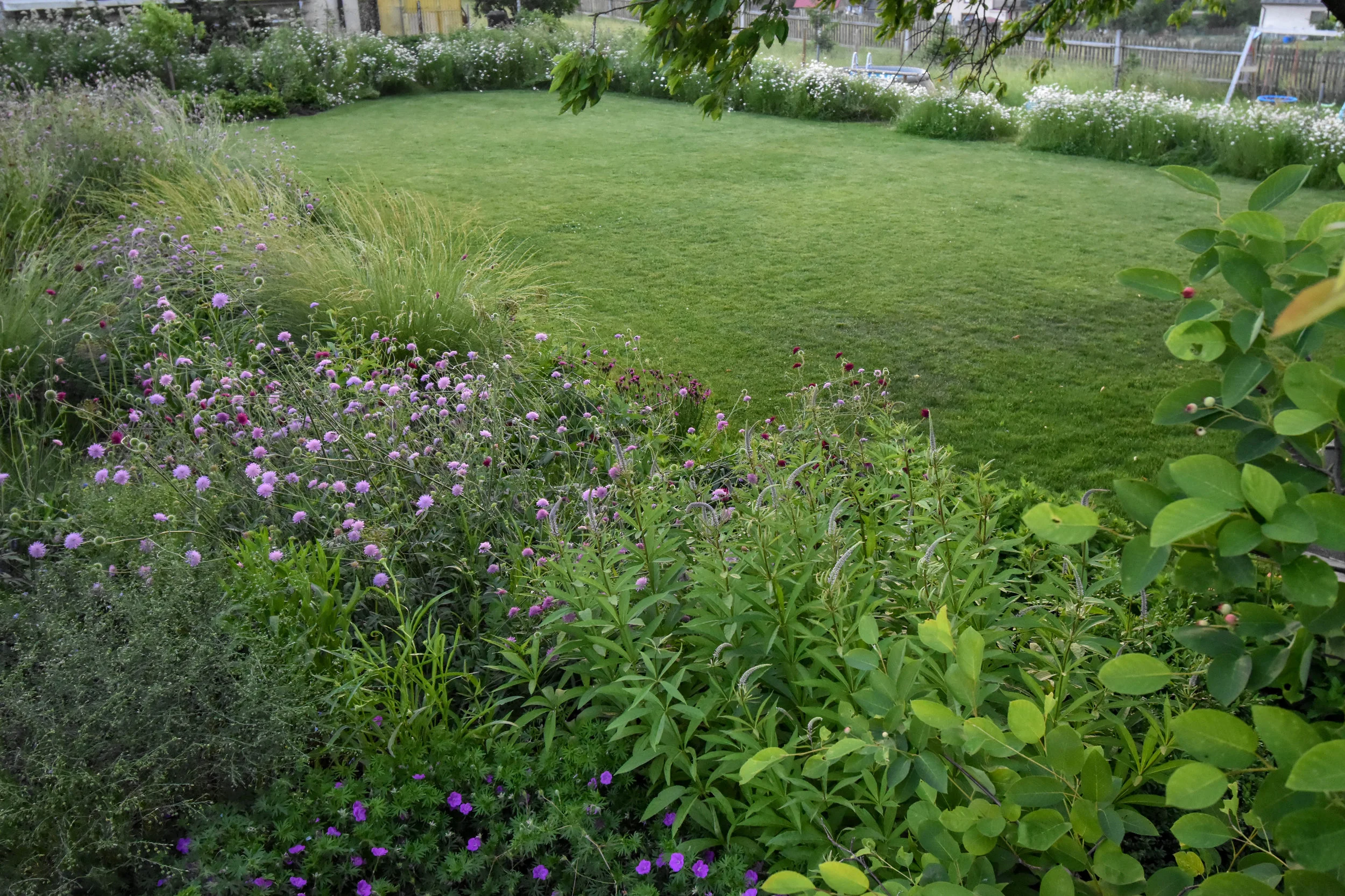 DSC_0558.jpg