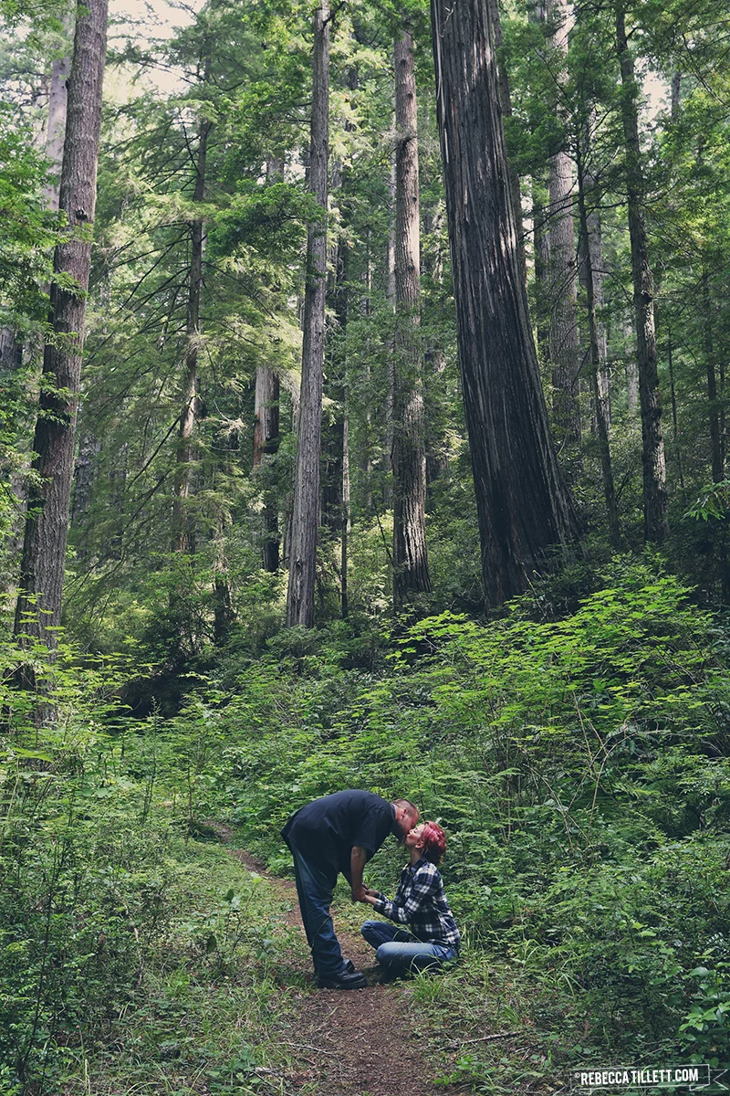  Redwood National Park, California | August 2015 