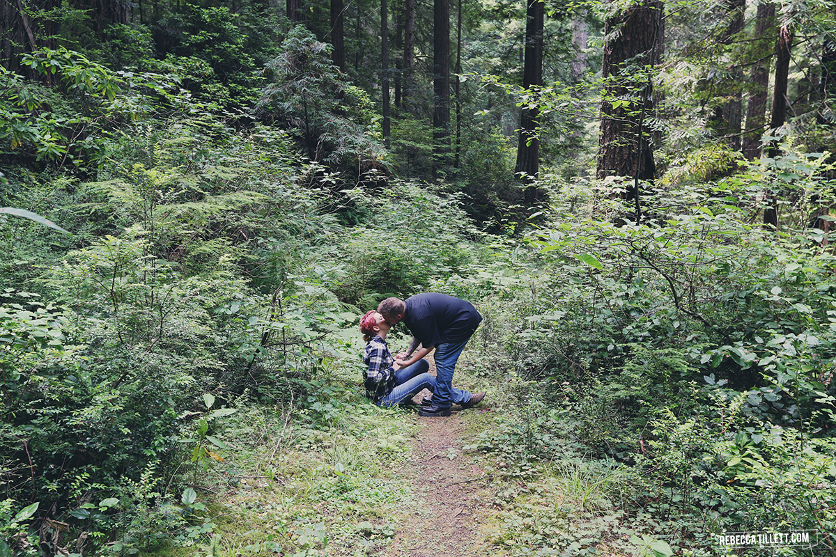  Redwood National Park, California | August 2015 