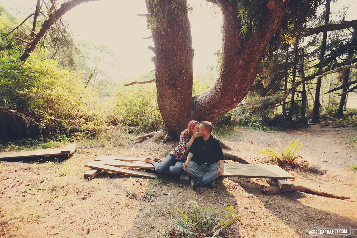  Redwood National Park, California | August 2015 