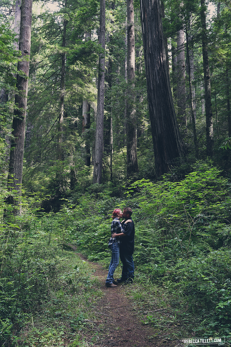  Redwood National Park, California | August 2015 