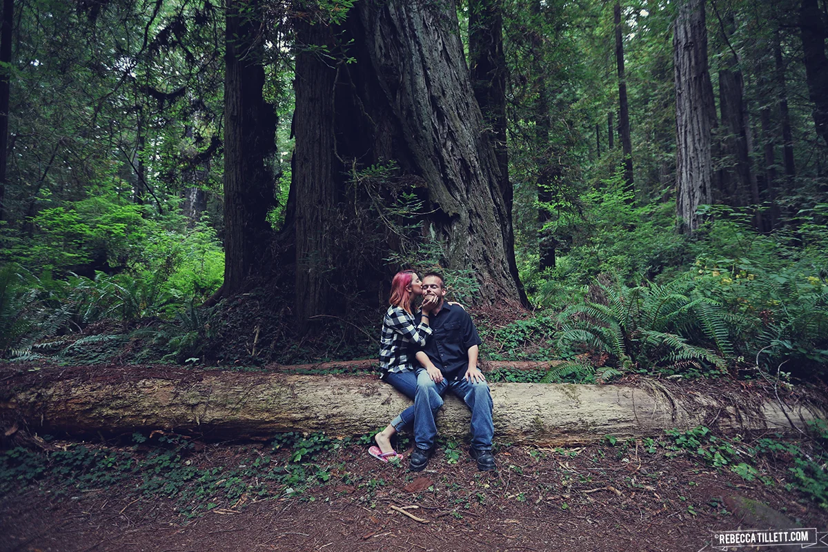  Redwood National Park, California | August 2015 