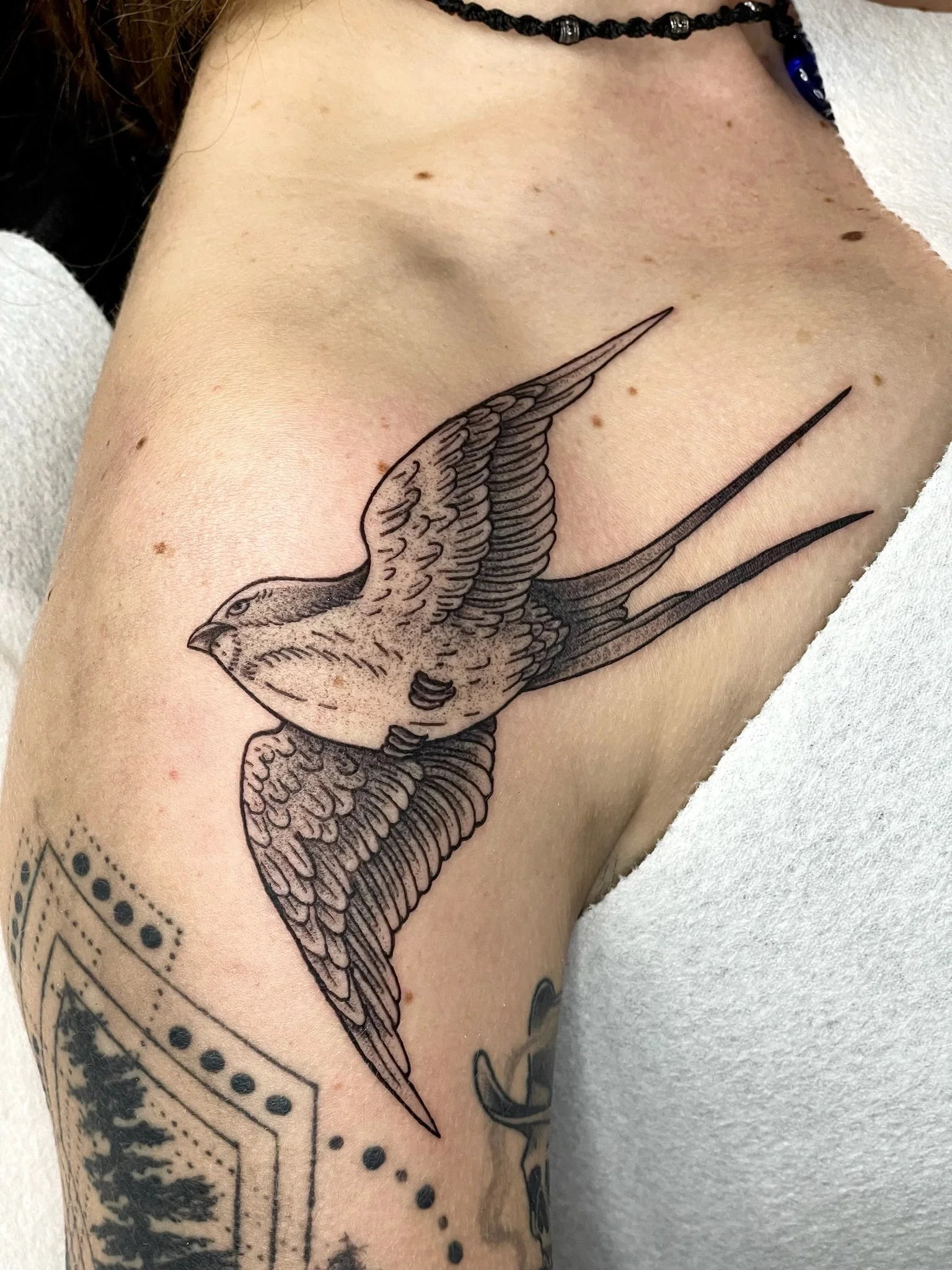 FullSizeRender 3.JPG