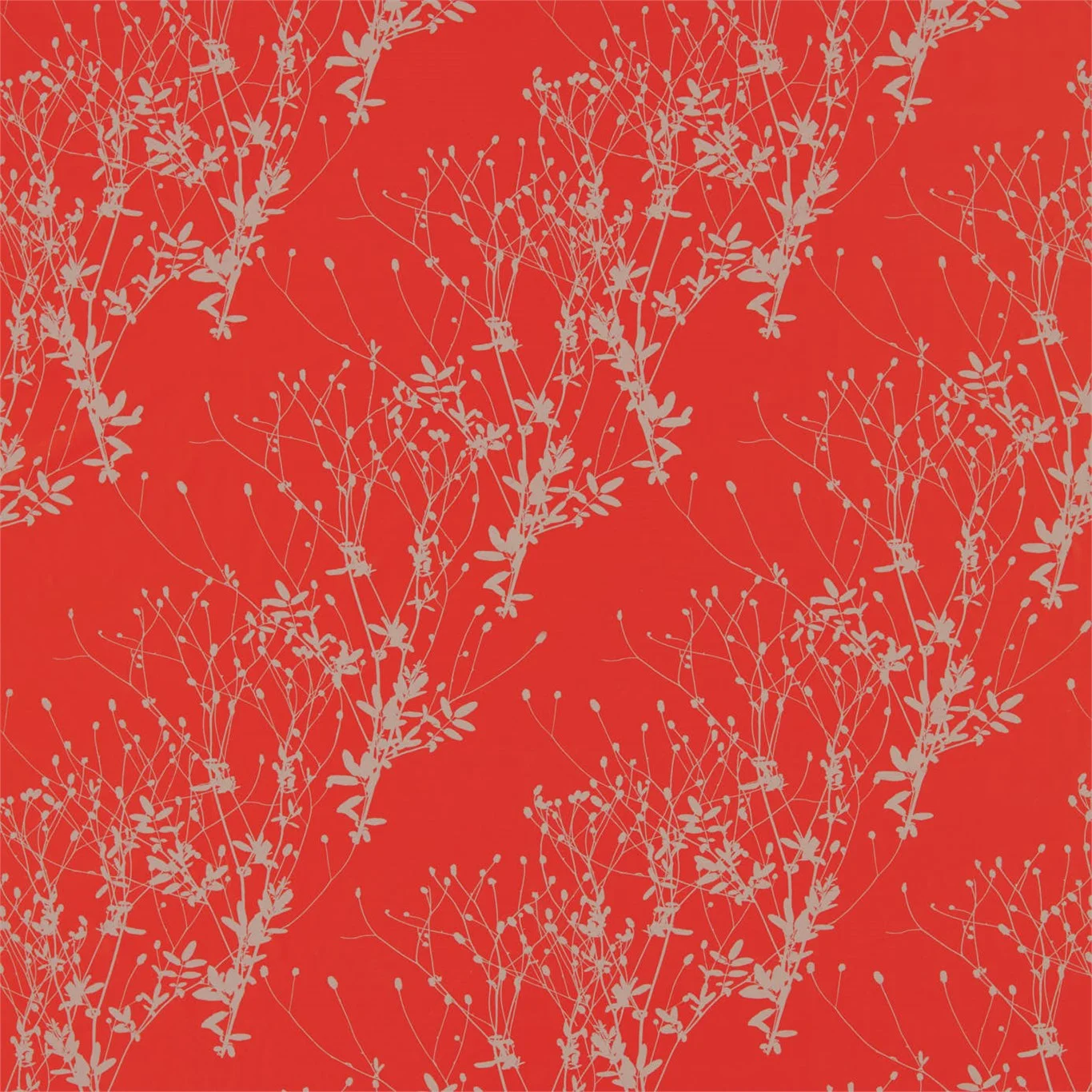 BURNET 120538