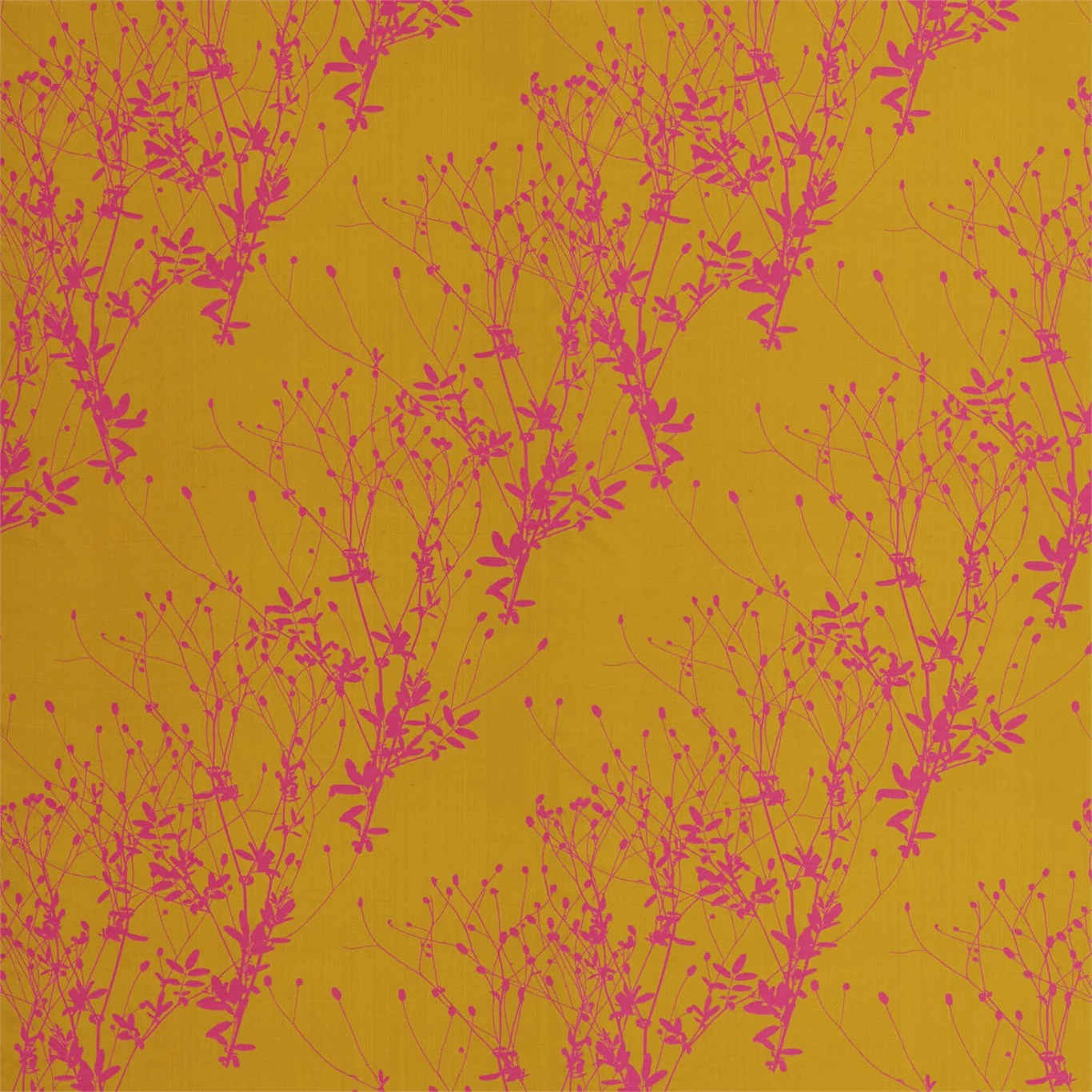 BURNET 120537