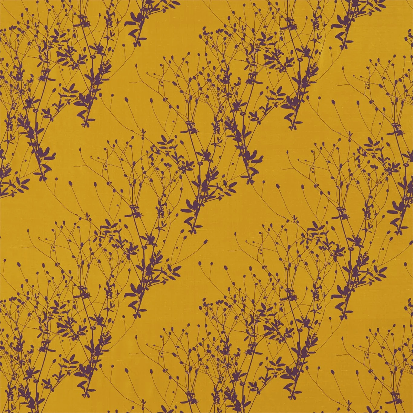 BURNET 120539