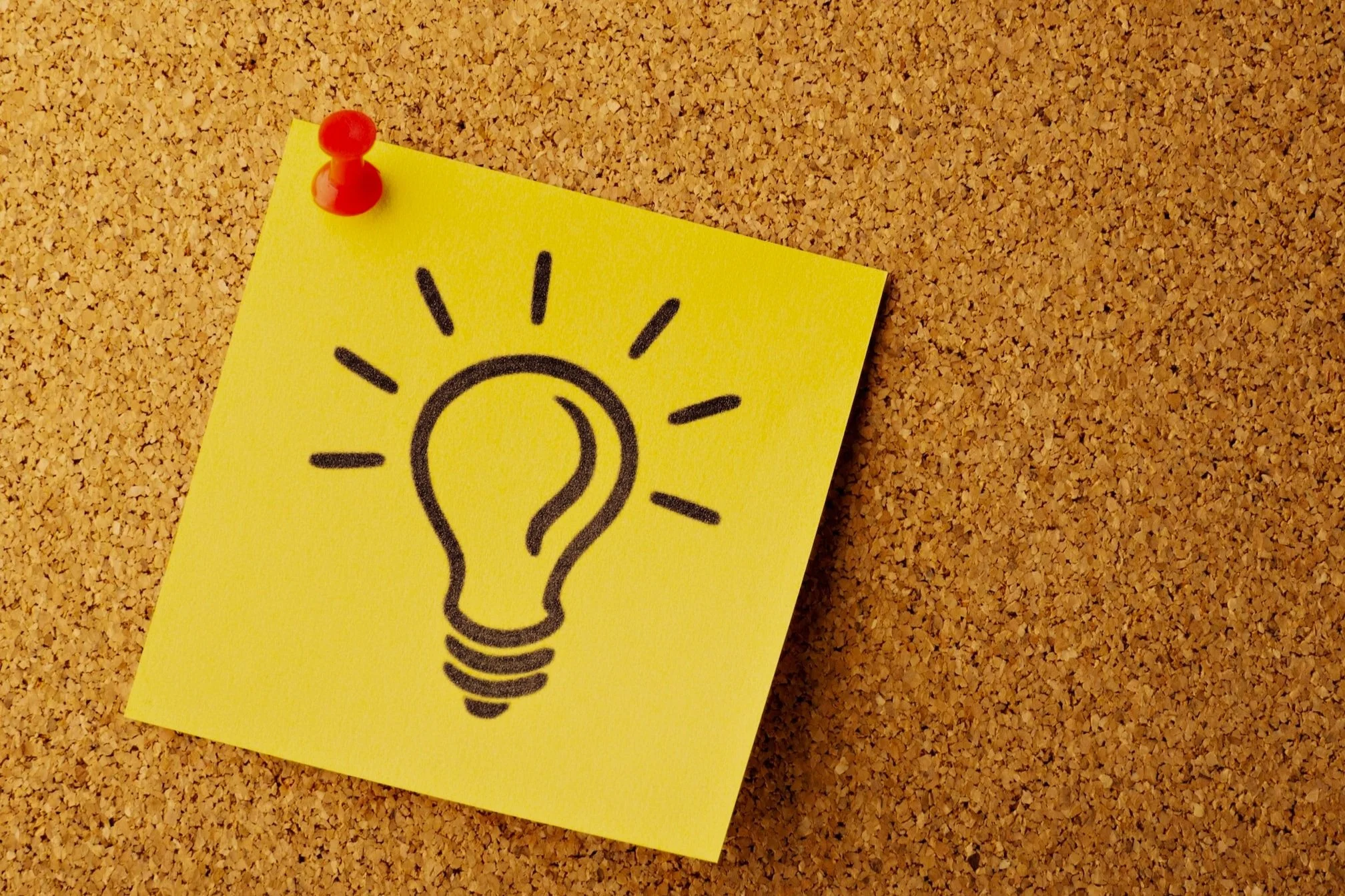 THE BODY STRUCTURE AND FUNCTIONS FROM TRADITIONAL CHINESE MEDICIE