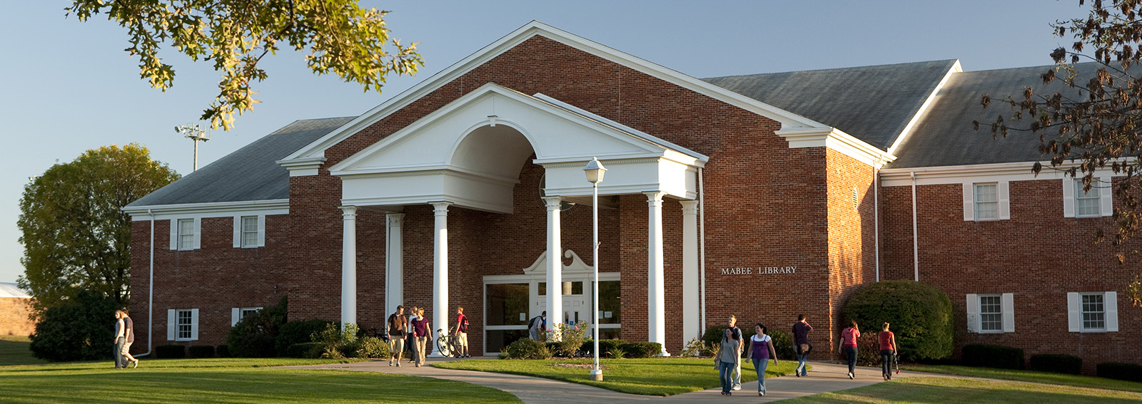 LibraryHeaderImage.jpg