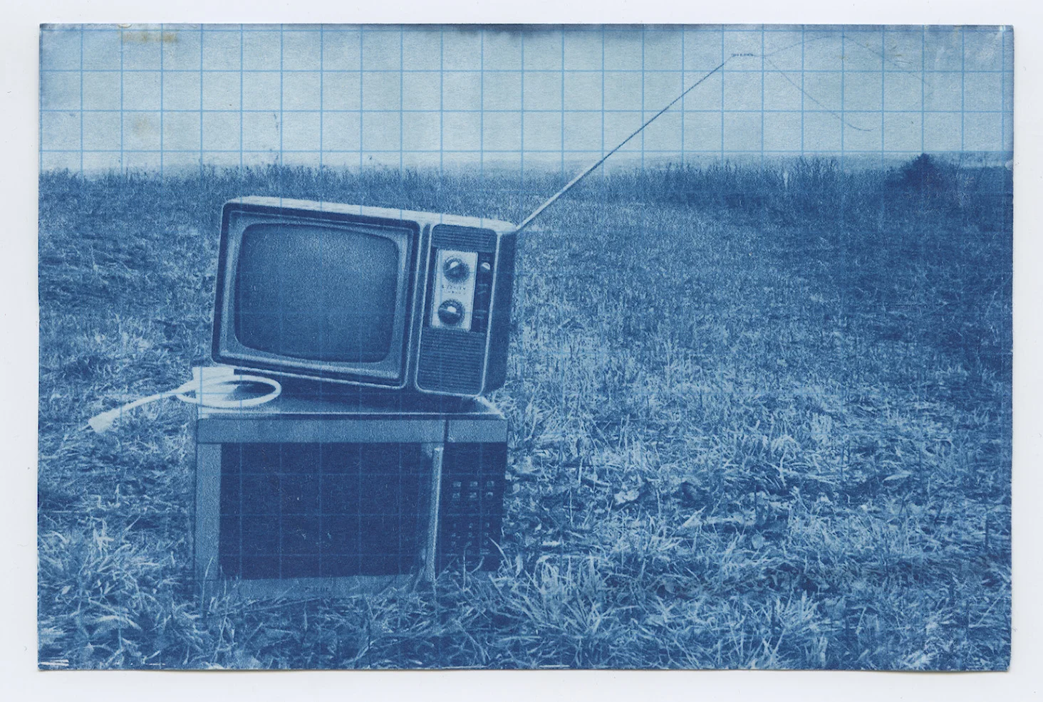  2009, Cyanotype