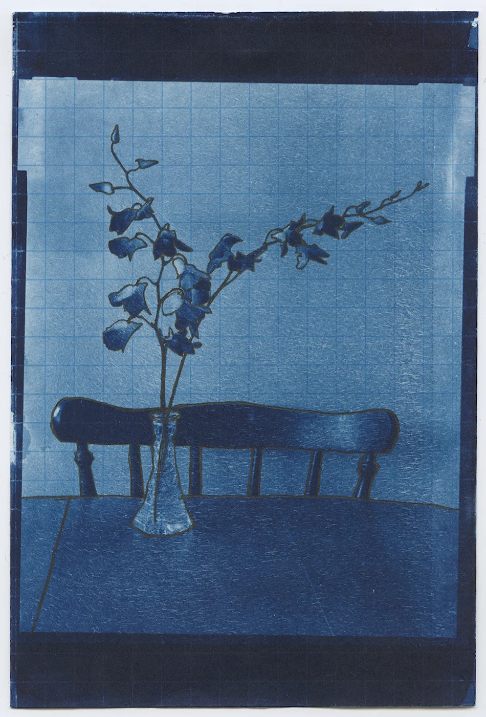 2009, Cyanotype