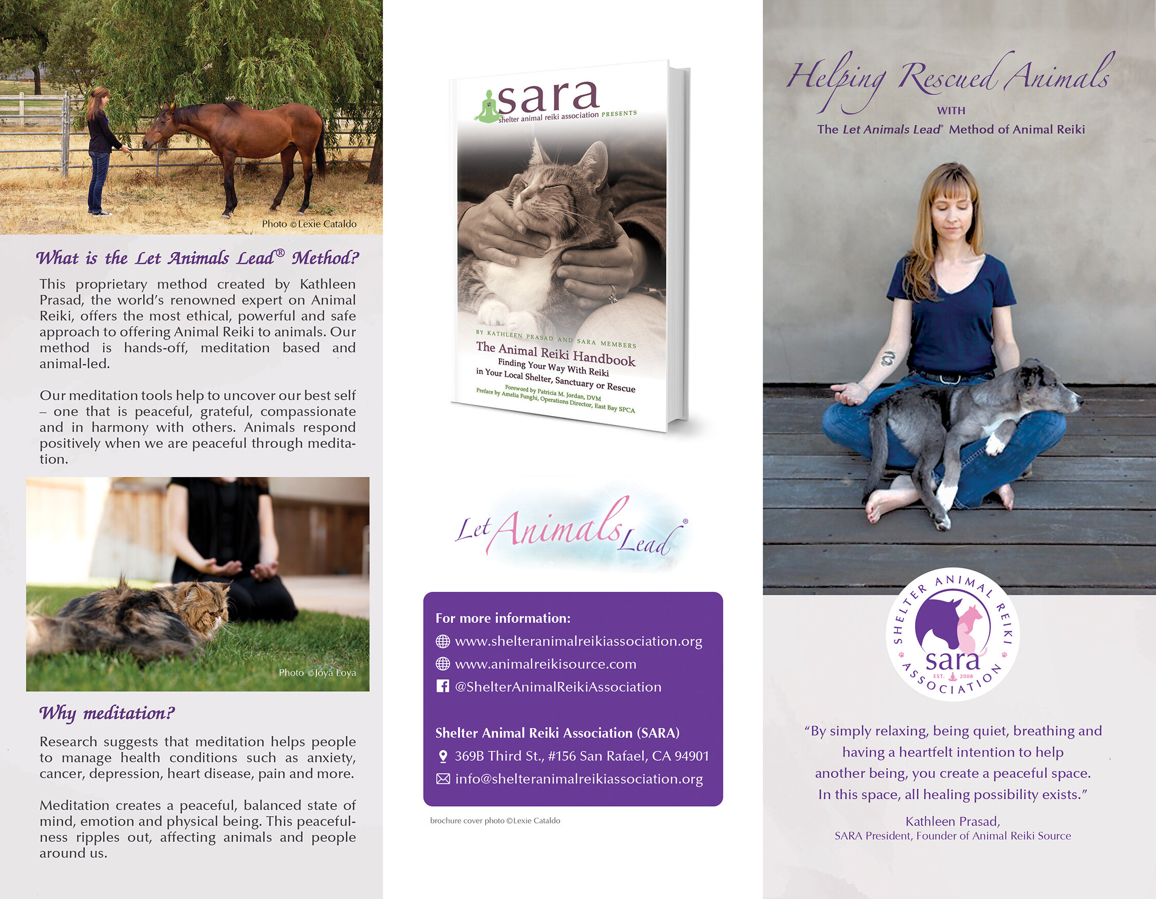 COMMUNITY OUTREACH — ANIMAL REIKI OF TULSA | meditation with animals for  healing