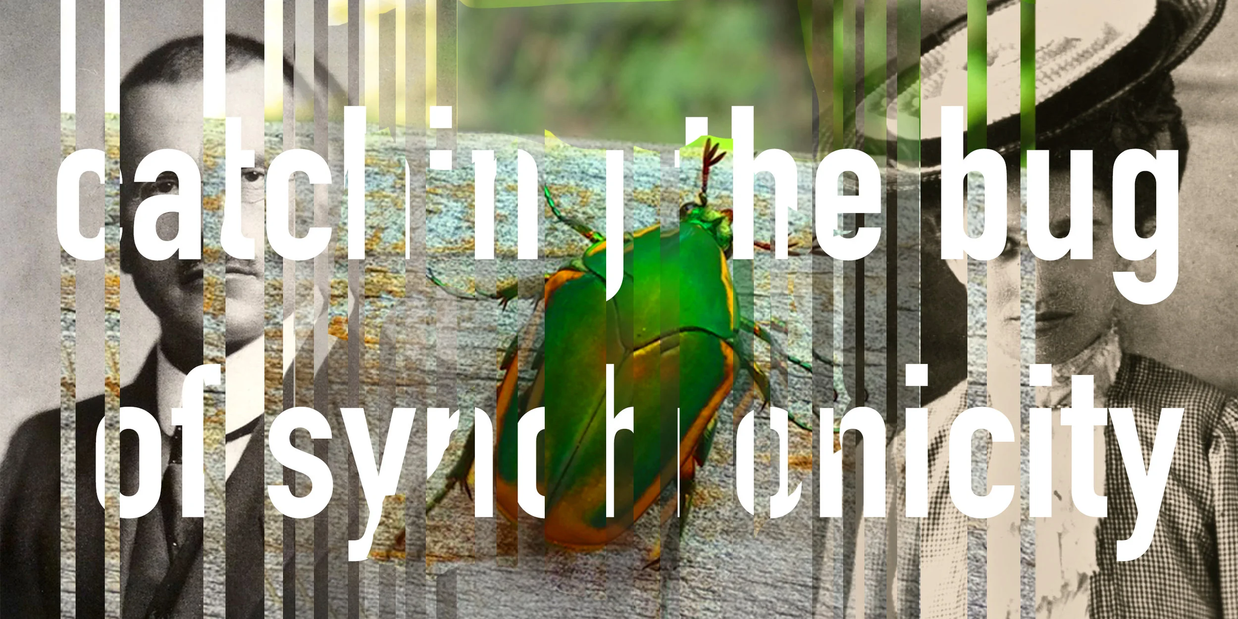 Catching the Bug of Synchronicity