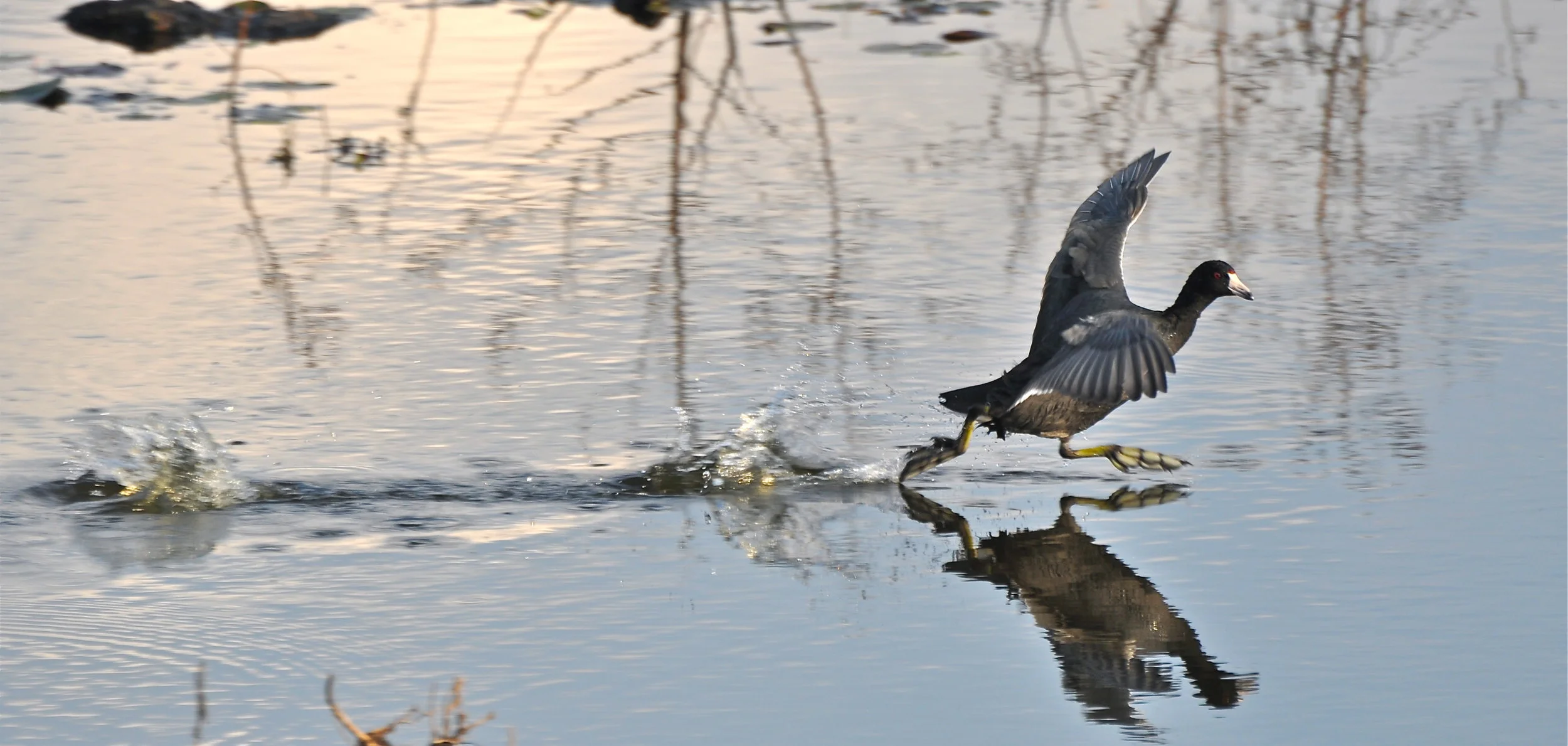 DSC_0060.JPG