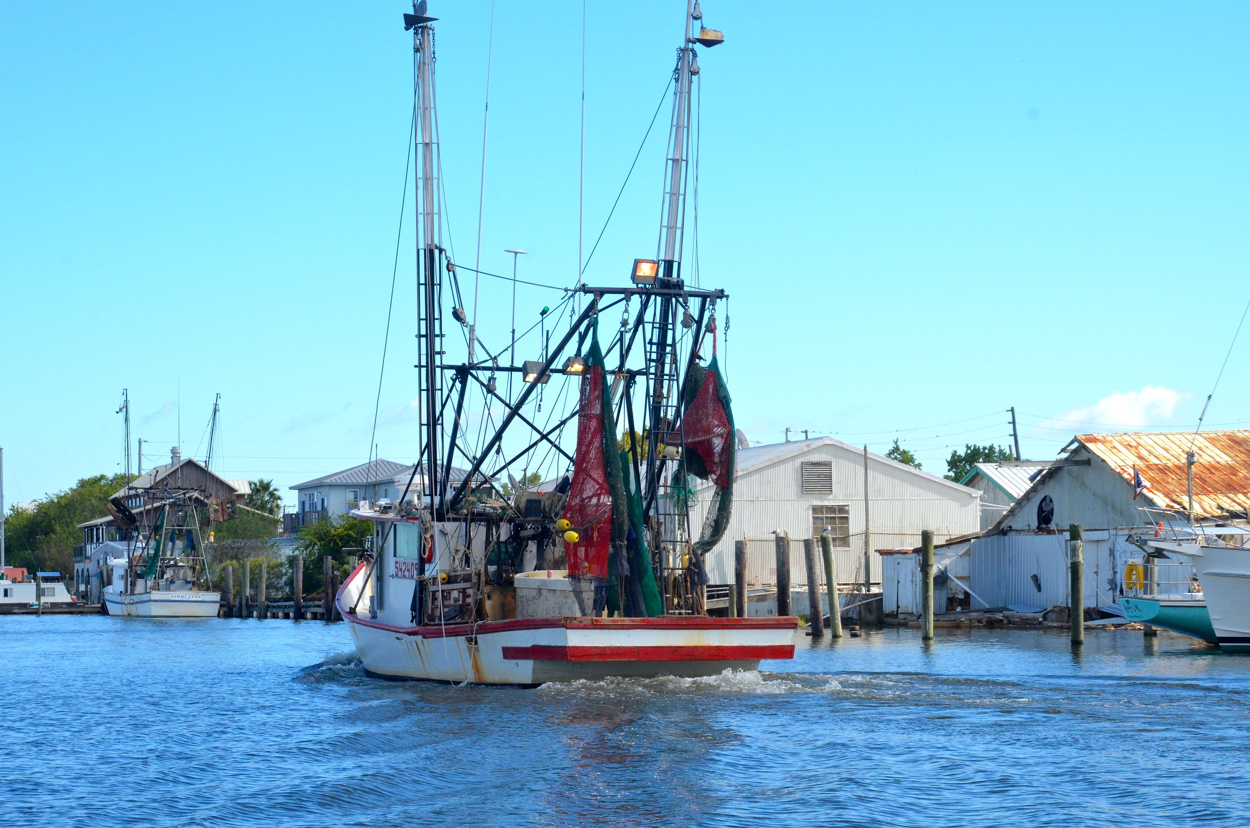 DSC_0595.JPG