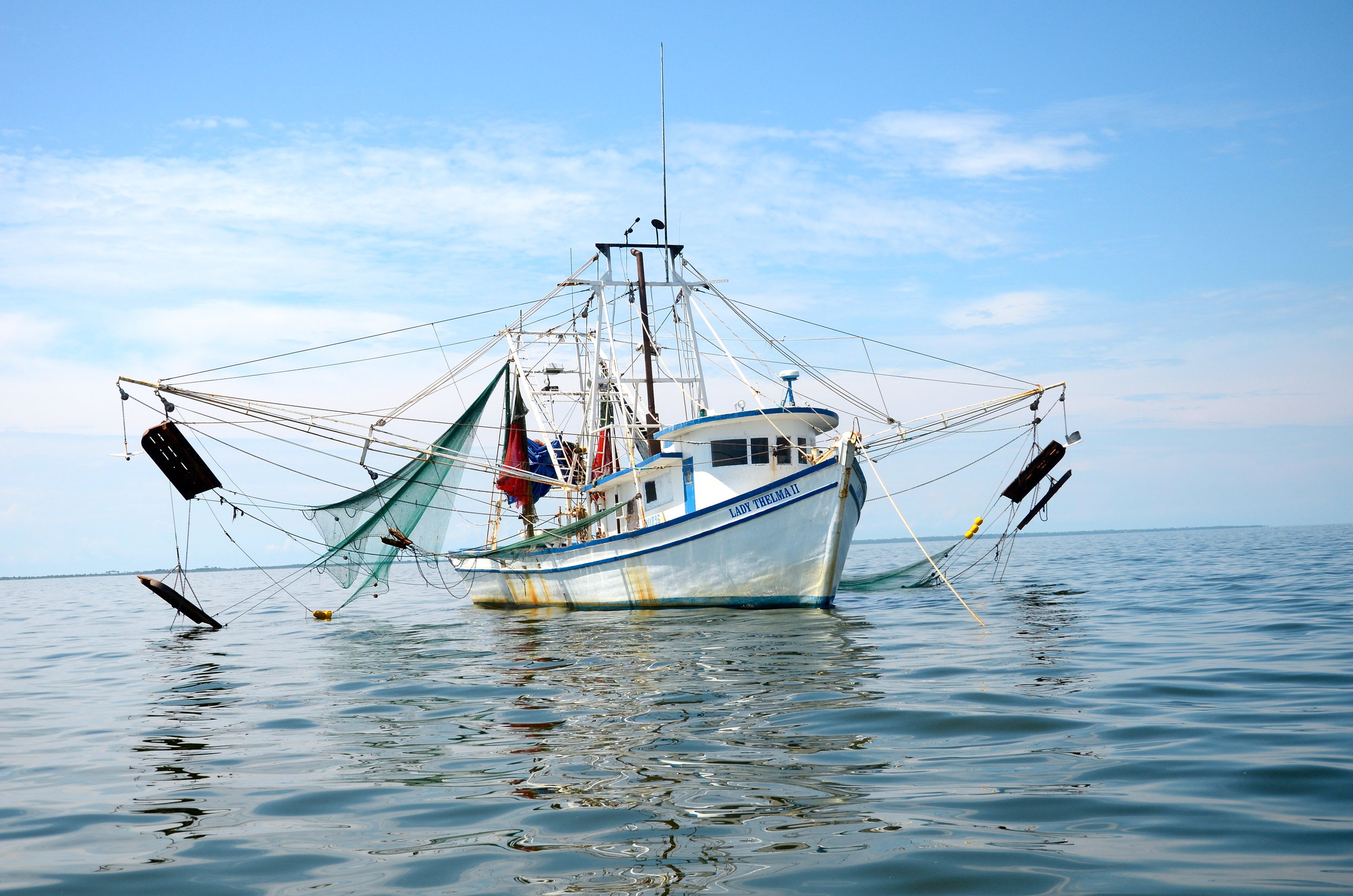 DSC_0684.JPG