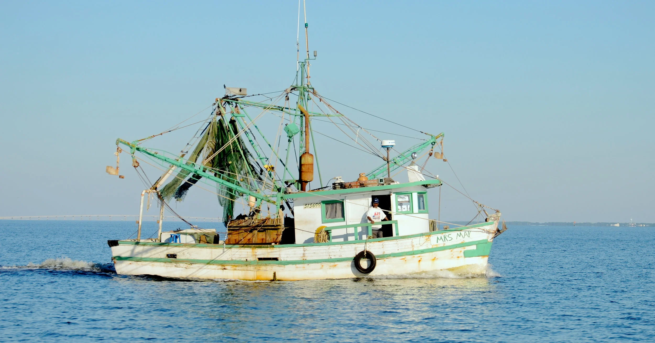 DSC_0234.JPG