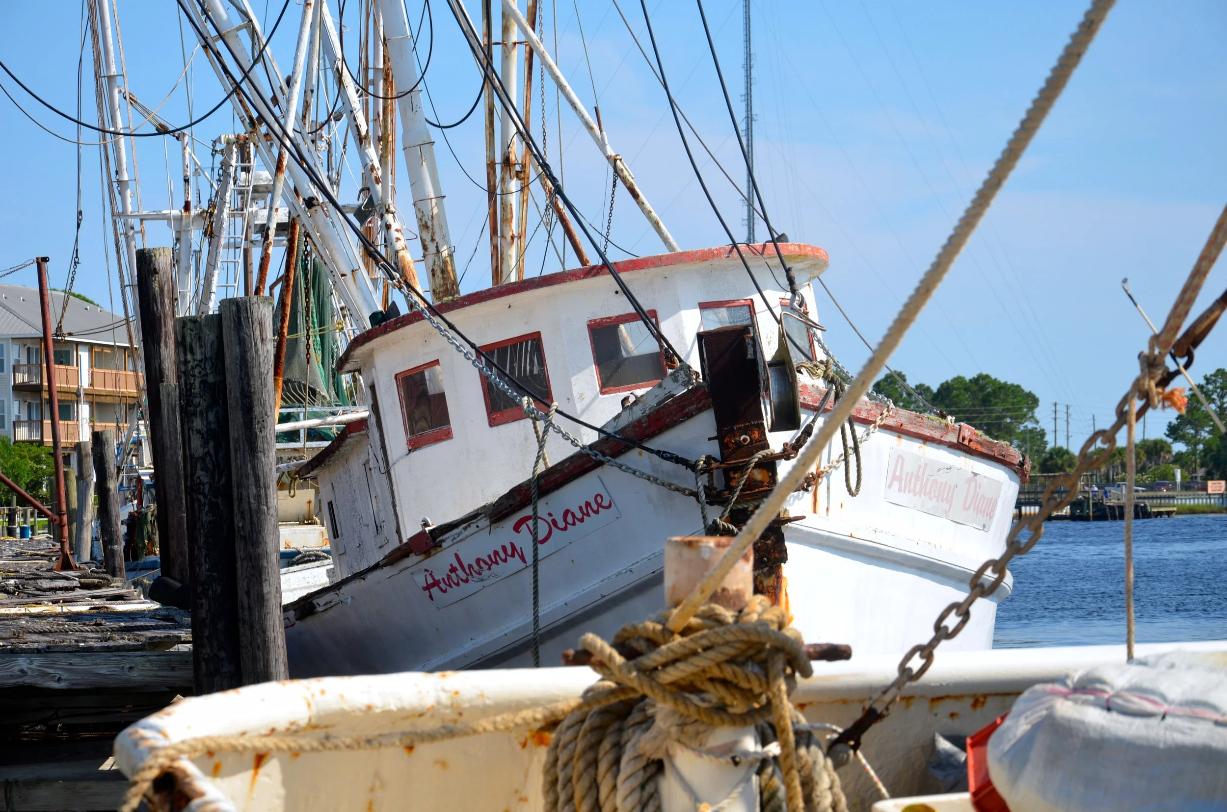 DSC_0620.JPG