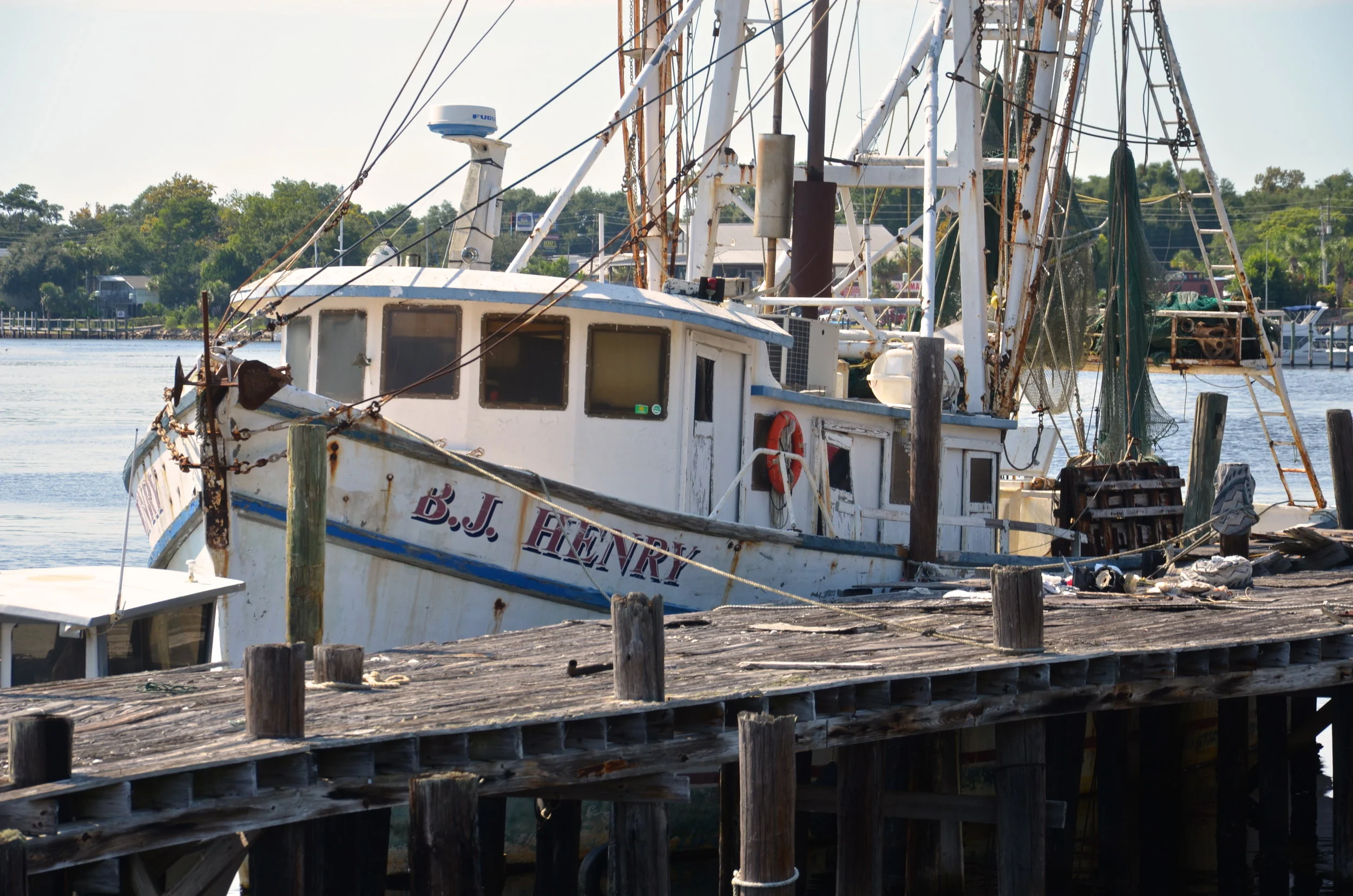DSC_0604.JPG