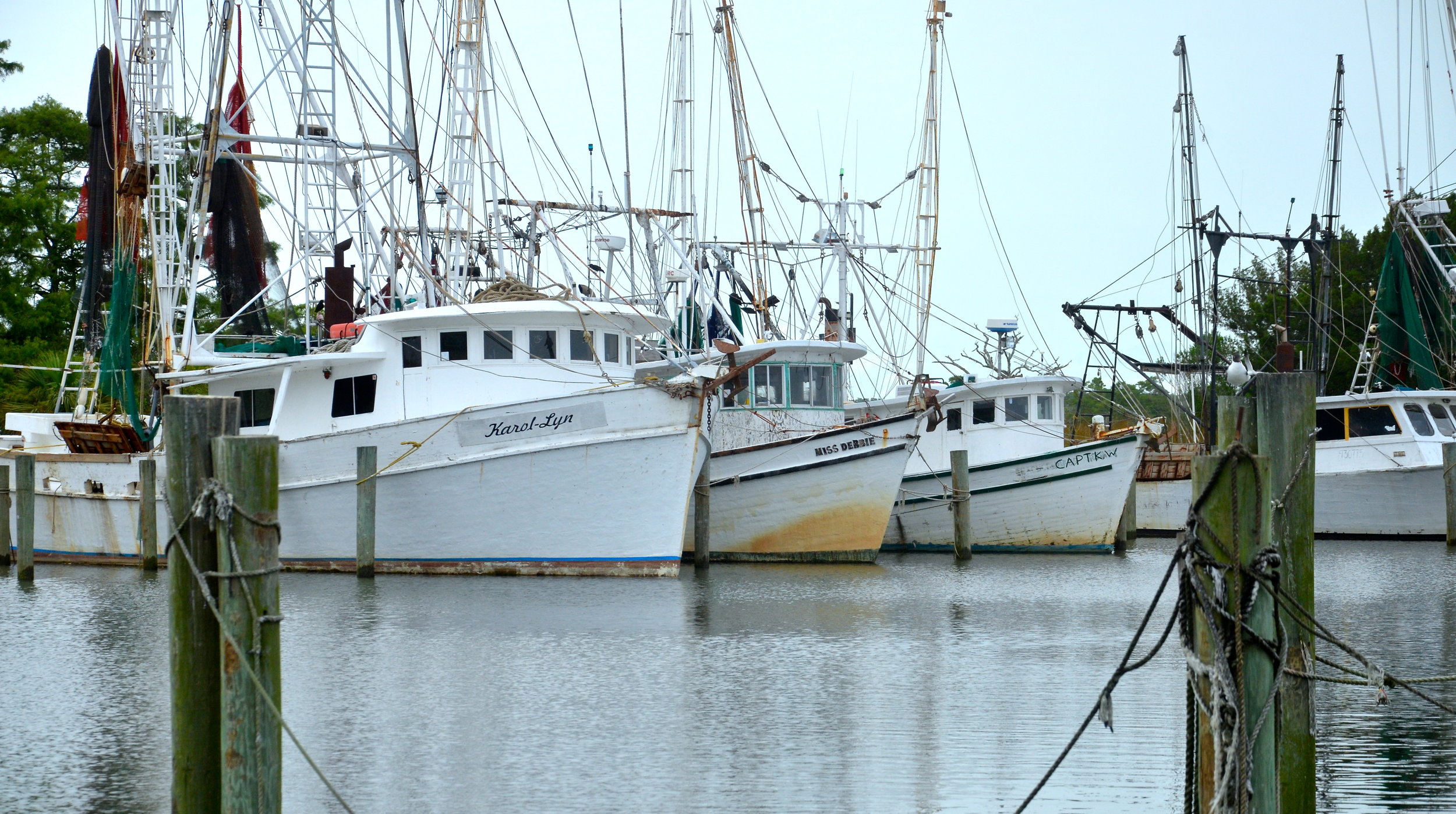 7SC_0075.JPG