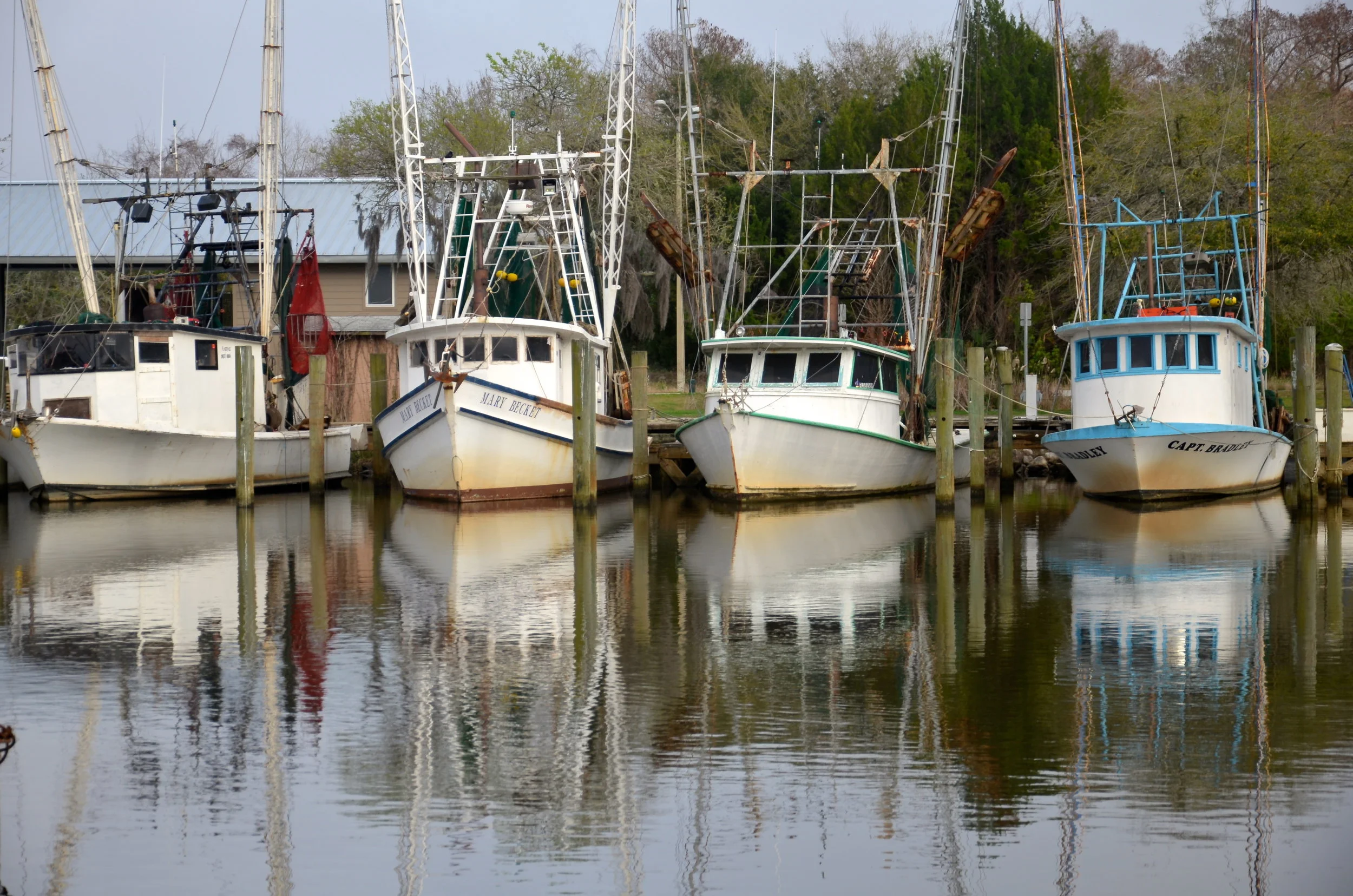  The commercial boat basin, up Scipio Creek, in Apalachicola. &nbsp;A colorful place, with a full spectrum of shrimpers and bottom fishing boats. &nbsp;Many boats look "ship-shape", others in advanced rust and disrepair. &nbsp;Mostly easy to chat up 