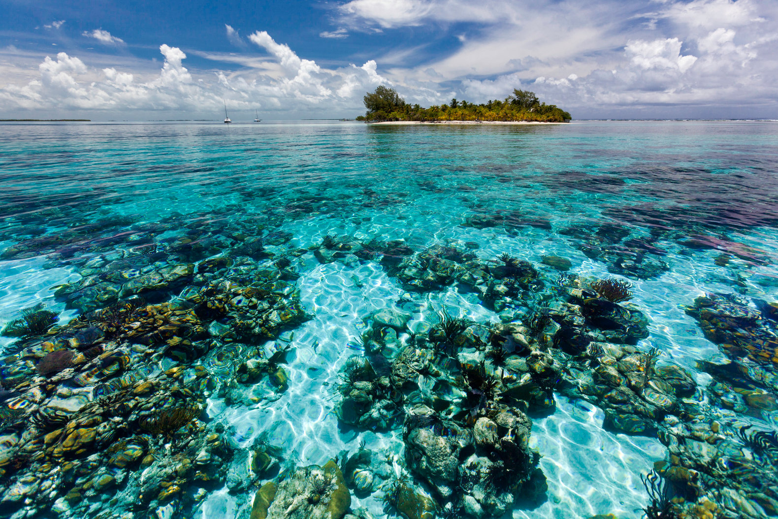 Belize-Barrier-Reef.jpg