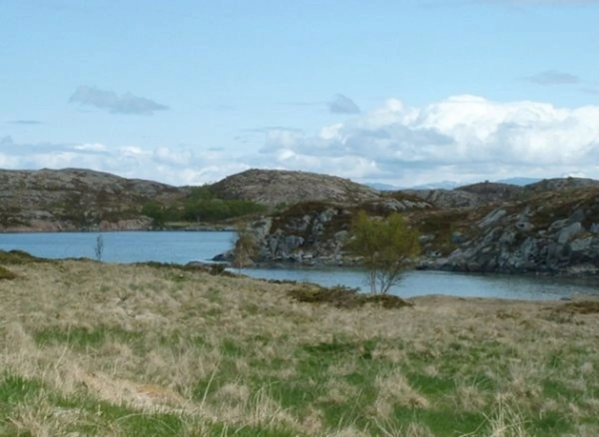 Vardneset Vanskelighetsgrad: Enkel Tid: 1 t t/r. Startsted: Fra fv. 839, ta av til Nordmyra (SHMIL, Vega gjenbruksstasjon), Gladstad. Fortsett rett fram, til enden av traktorvei. Godt opptråkket sti til venstre for stolpe.
