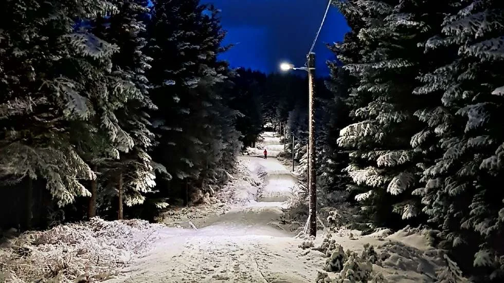 Foto: Bjørnar Falk