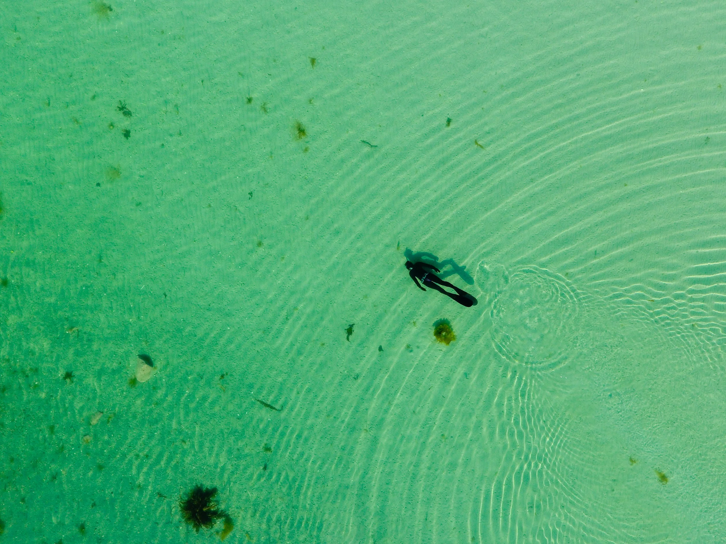 Snorkling Eidem - Ina Andreassen80.jpg