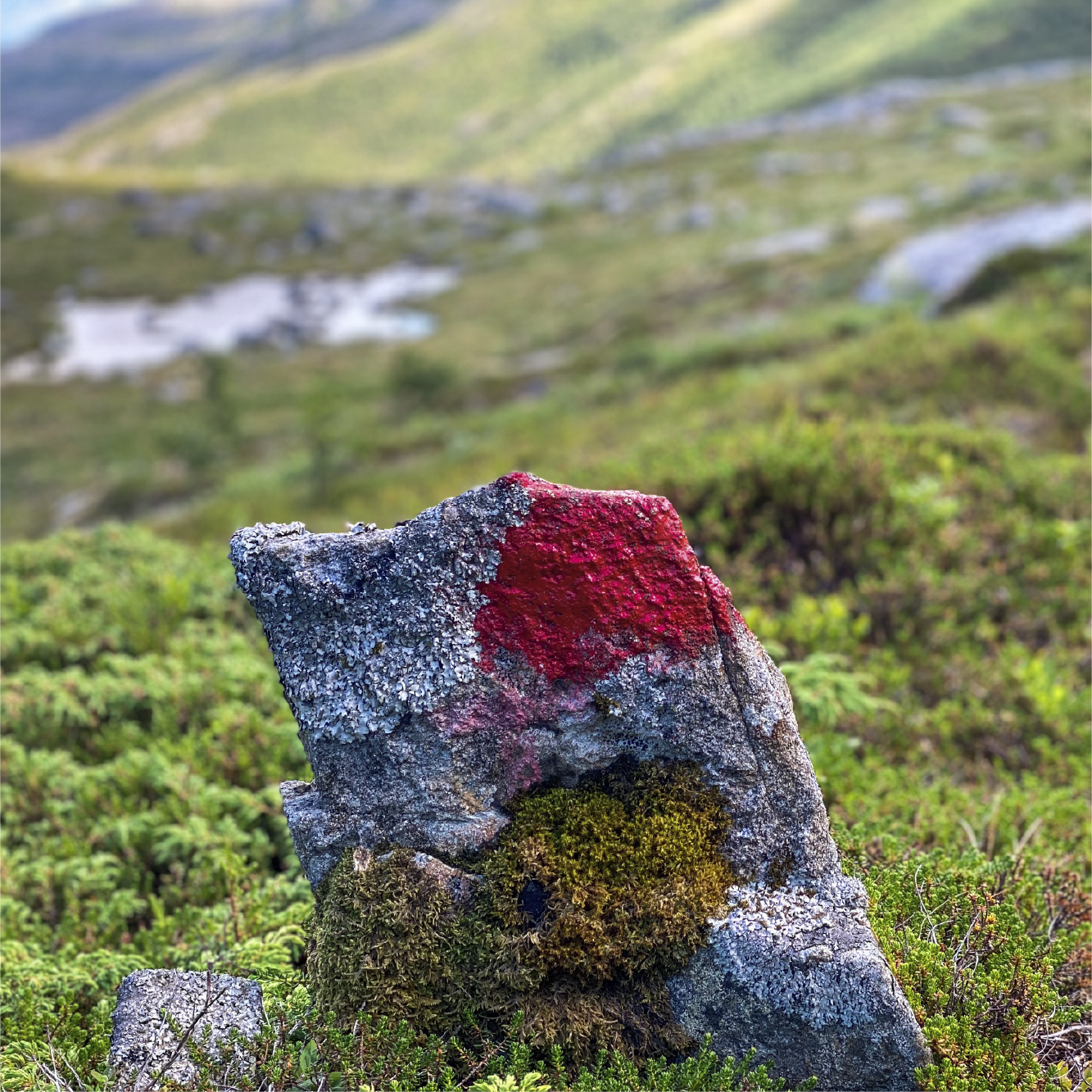 Turløyper@.png