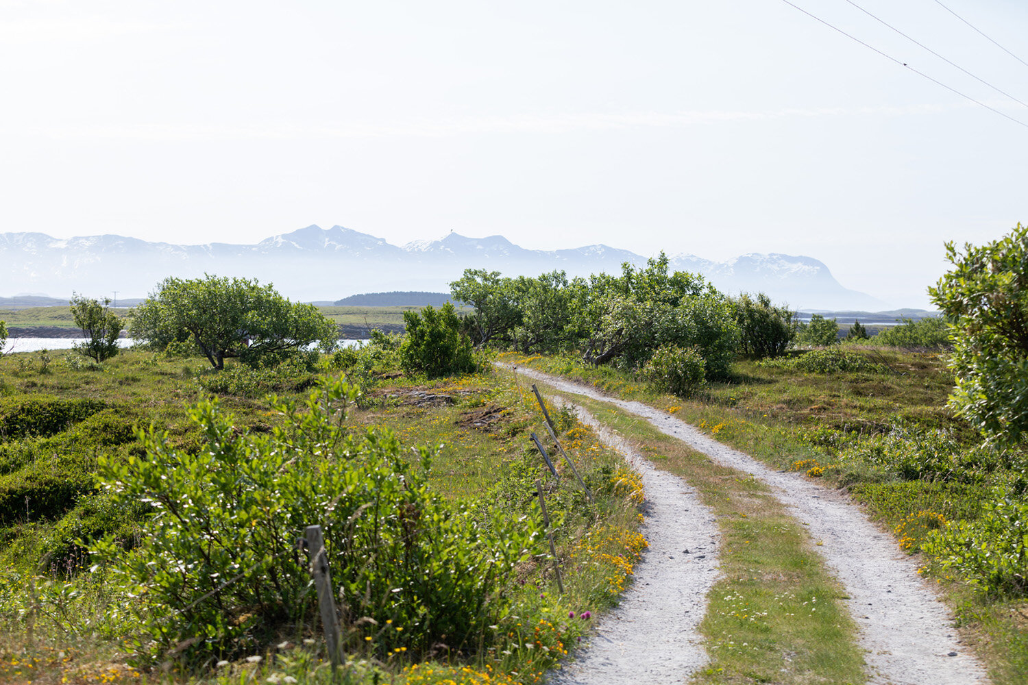 Utsikt fra Skogsholmen mot fjellene på fastlandet (Vevelstad)