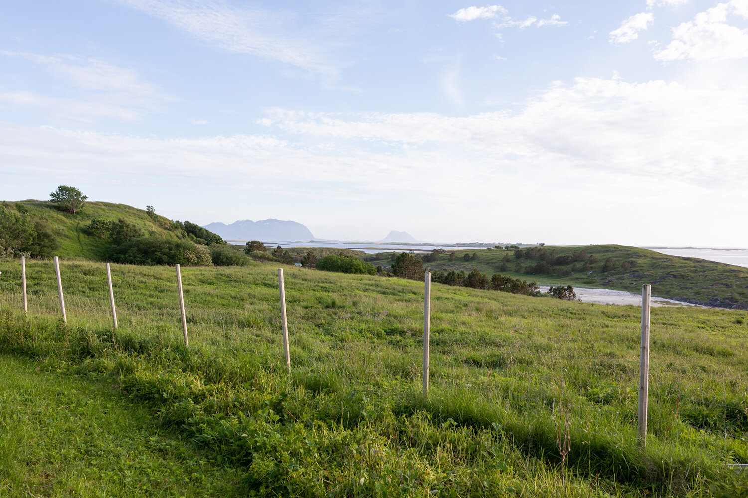 Utsikt mot Vega og Søla fra Skogsholmen