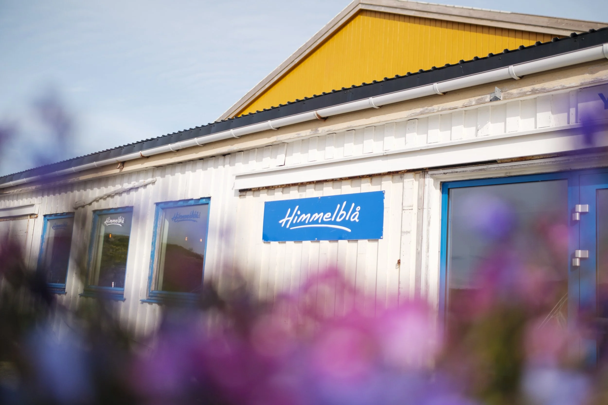 Himmelblå Brygge-Kristoffer Møllevik - Visit Helgeland(10).jpg