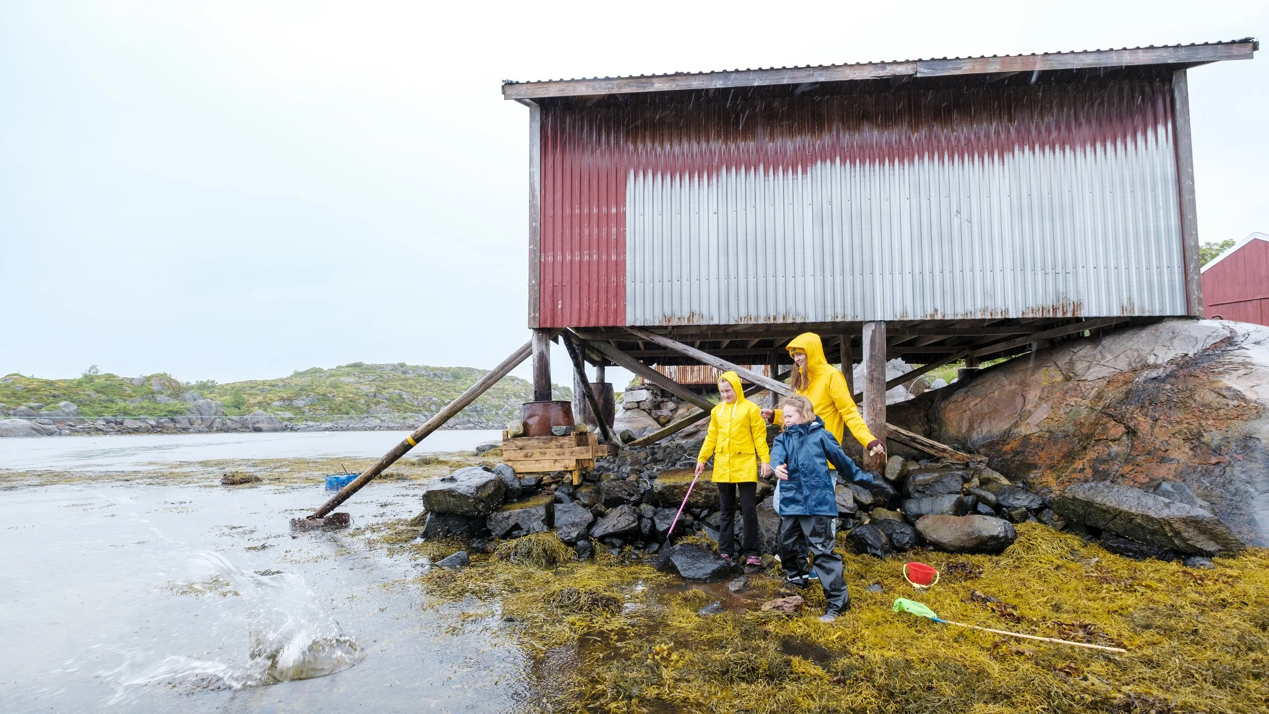 Himmelblå Brygge-Kristoffer Møllevik - Visit Helgeland(11).jpg