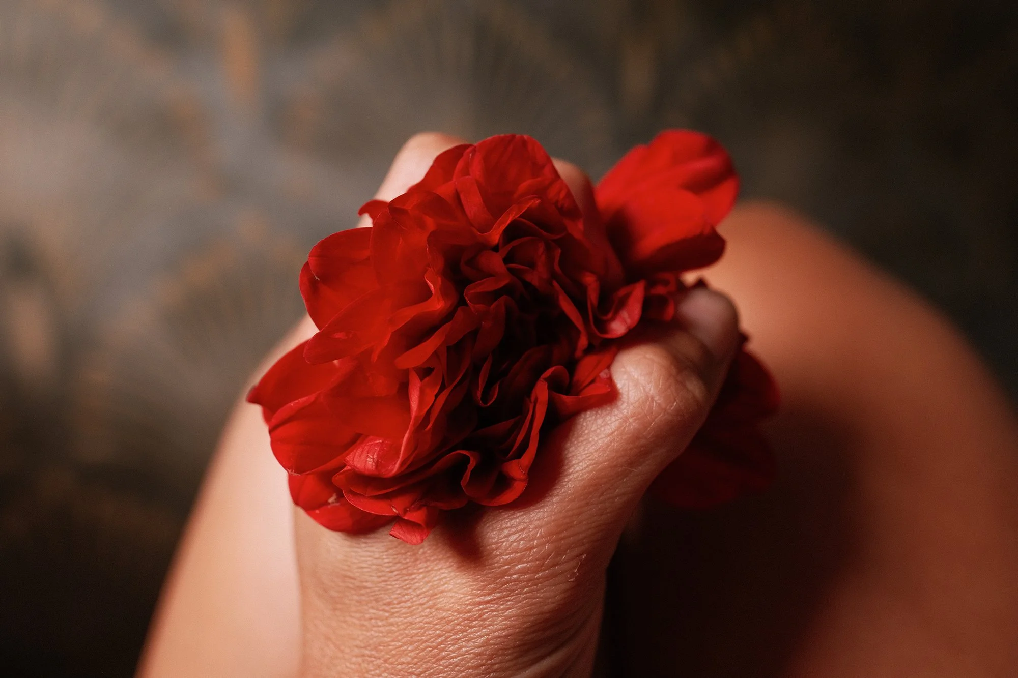 Entre a Dor e a Flor