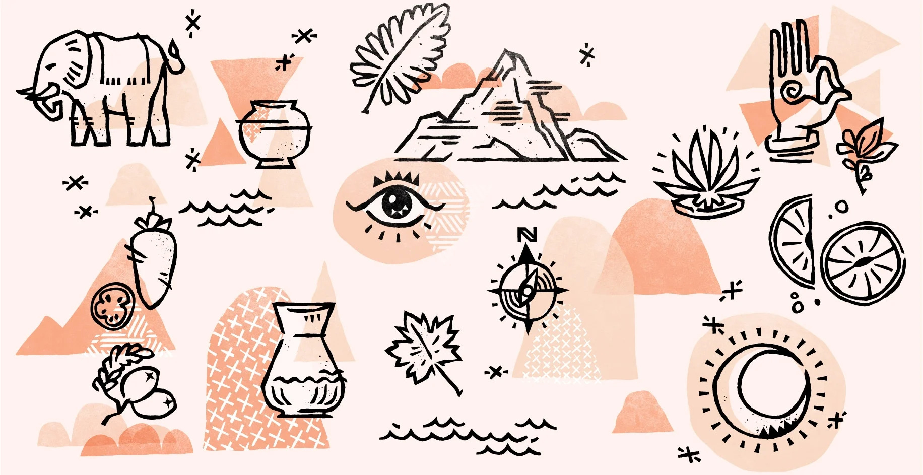 lotus_pops-illos_sketches-collage.jpg