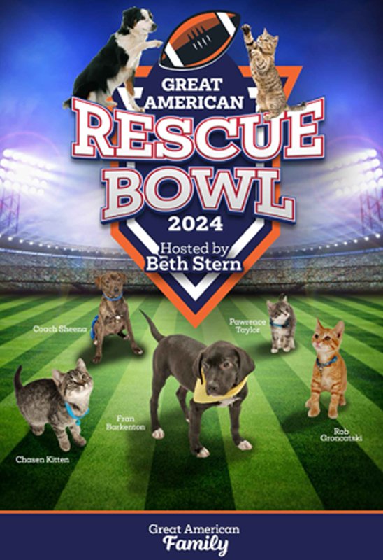 Great American Rescue Bowl