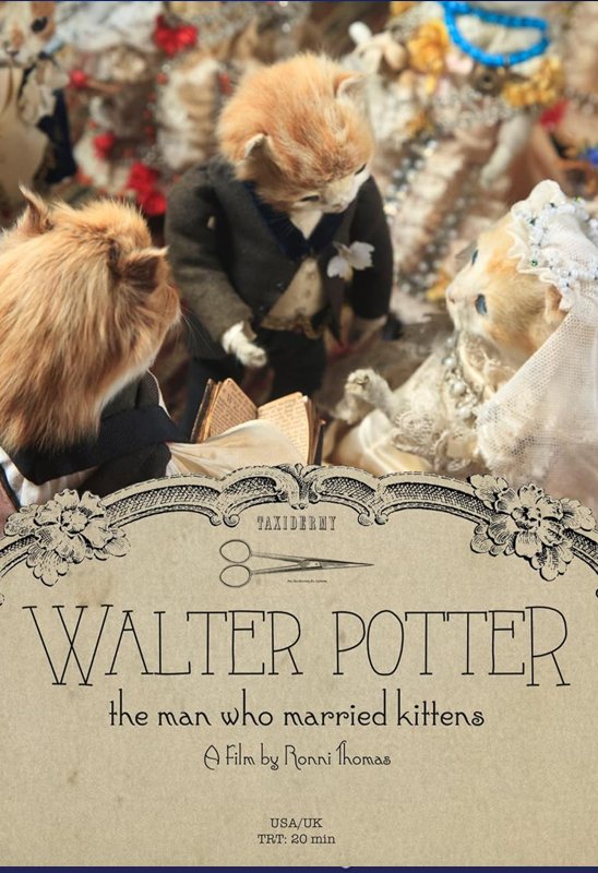 Walter Potter : The Man Who Married Kittens