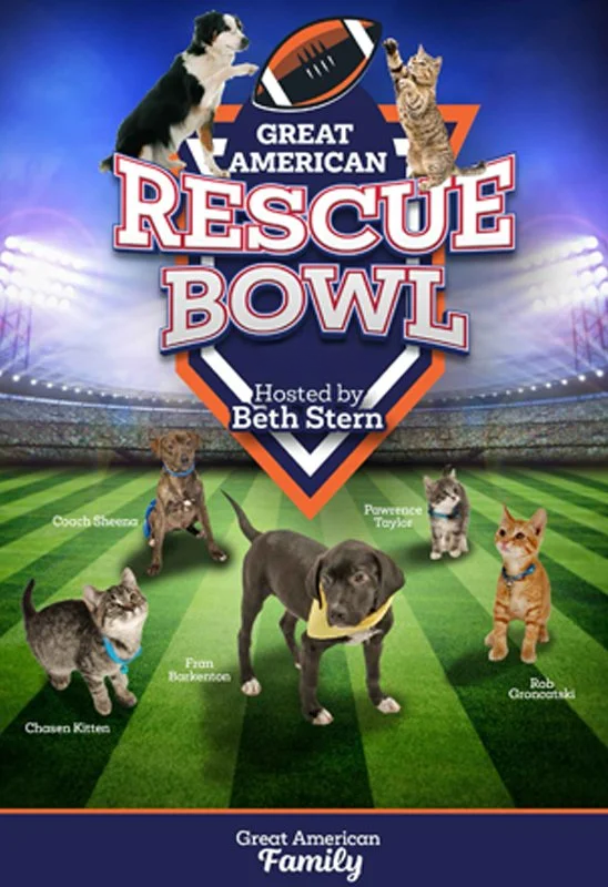 Great American Rescue Bowl