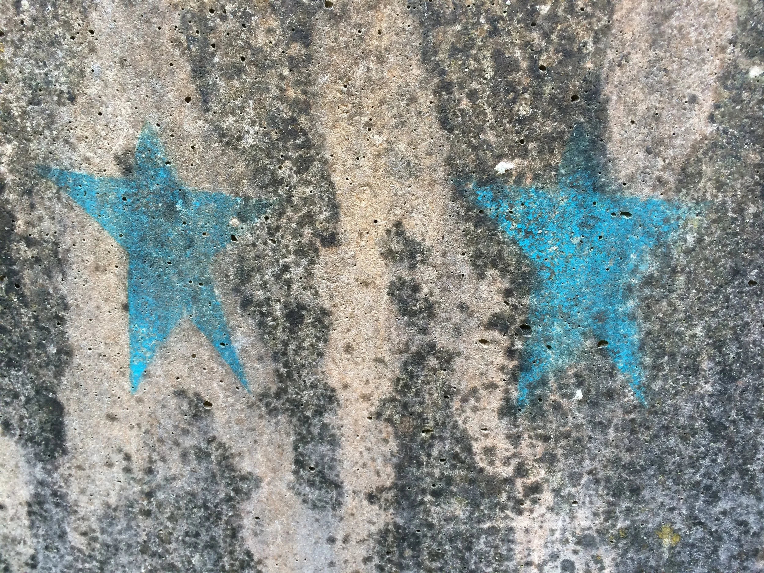 Blue Stars.jpg