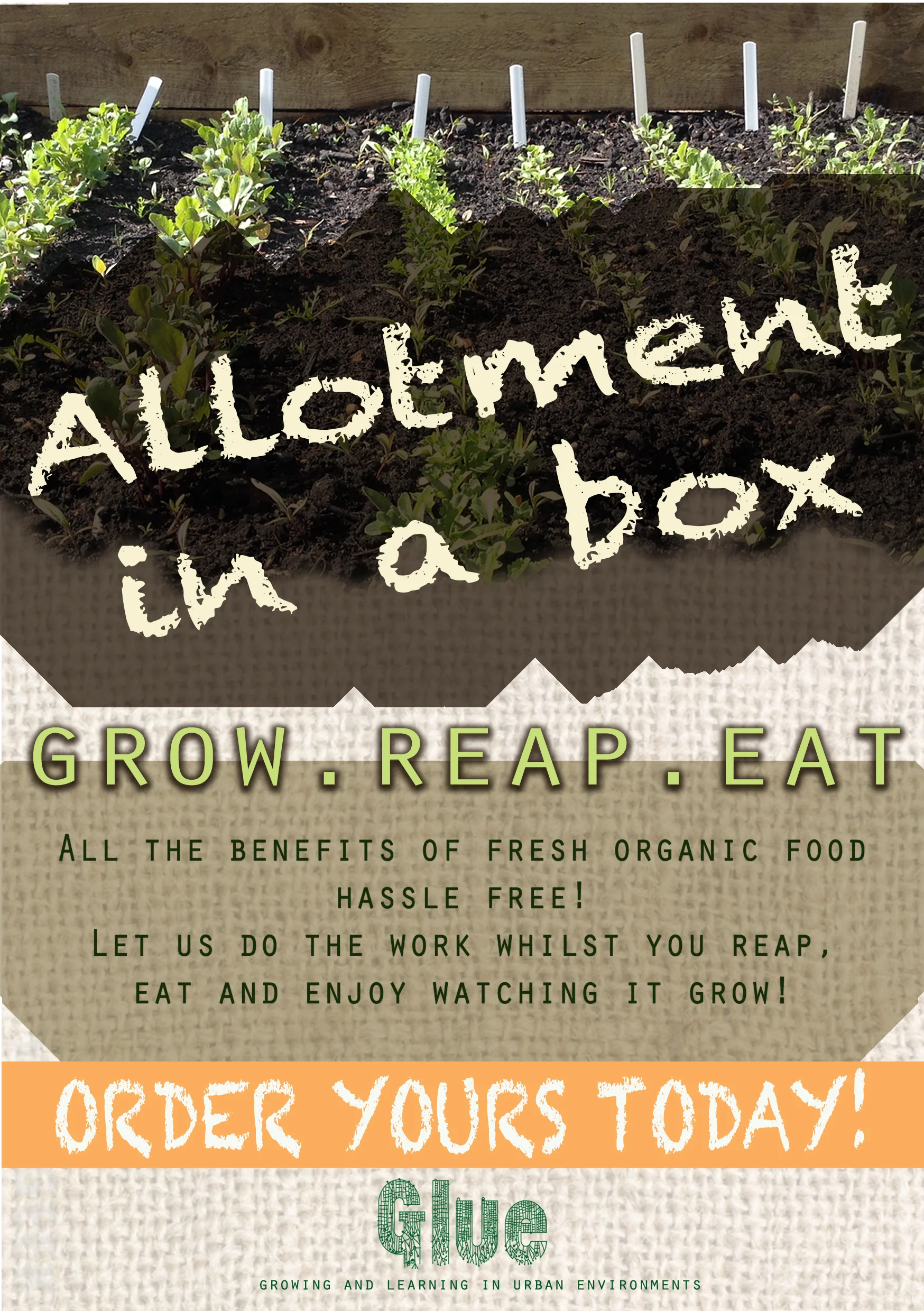 Allotment Box Flyer.jpg