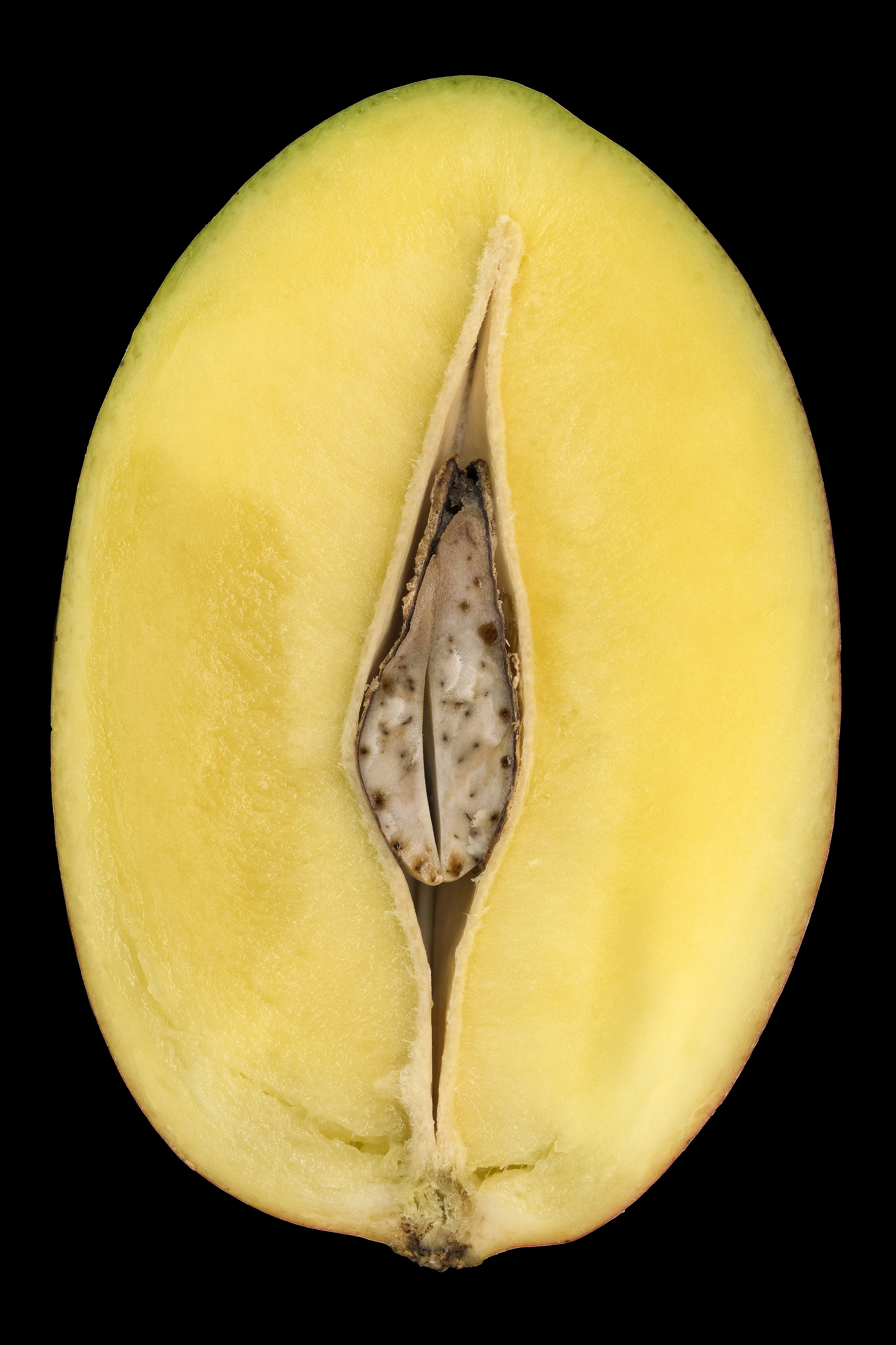 mango-edit_10982894875_o.jpg