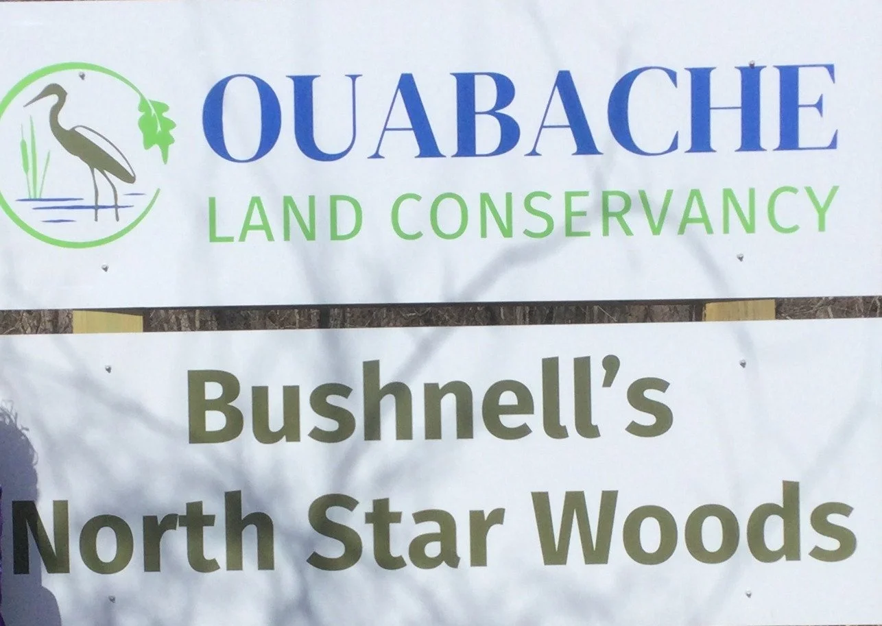 Black History Month Hike at Bushnell's North Star Woods