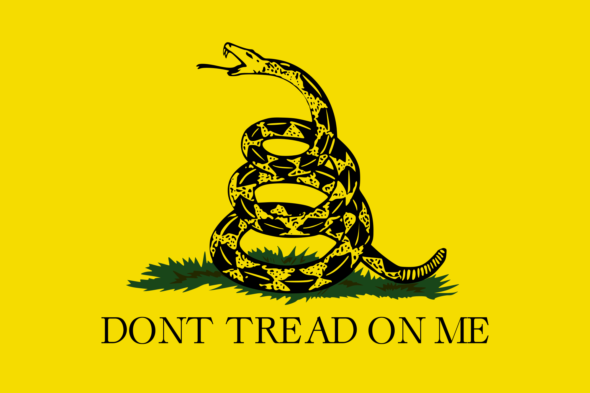 The Gadsden flag, designed in 1775 by Christopher Gadsden, was used by the Continental Marines during the American Revolutionary war. In modern times, it is now a popular license plate design, and is used by different groups of people to express a variety of sentiments. 